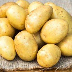 Брянский деликатес: описание сорта картофеля, характеристика