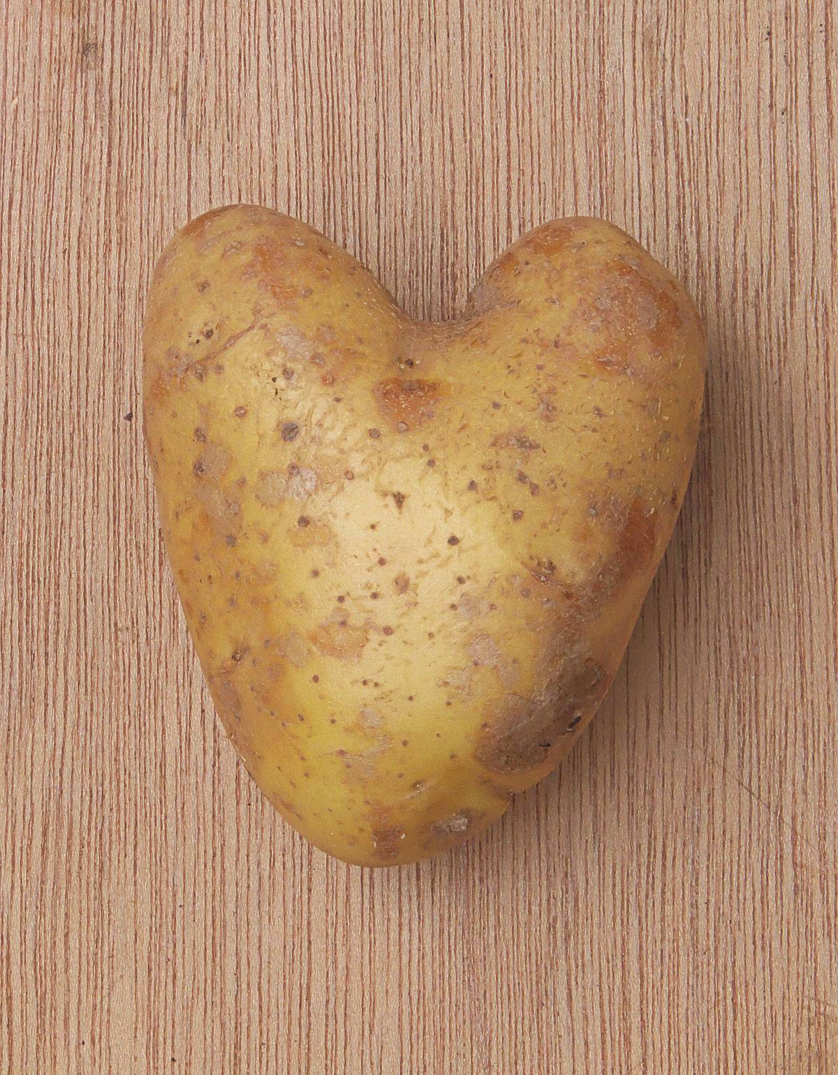 Заболевания картофеля и борьба с ними