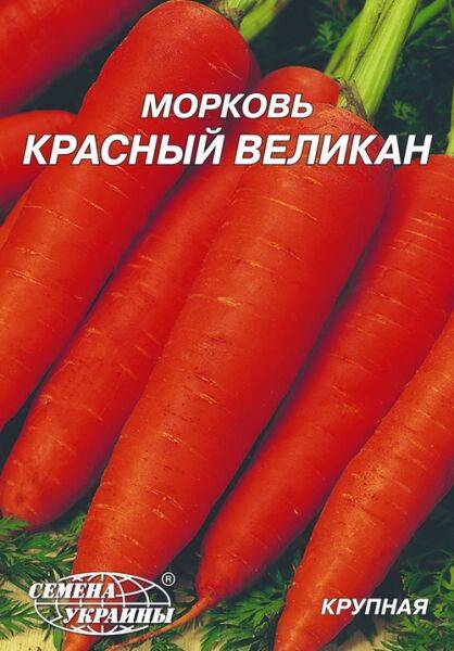 Характеристика и описание сорта моркови красный великан, выращивание
