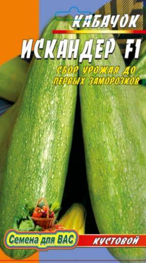 О сорте кабачка искандер: описание растения, выращивание и уход за культурой