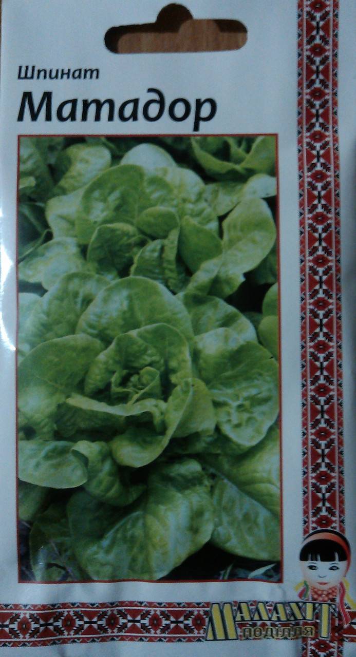 Шпинат алиса f1 — описание сорта, выращивание и отзывы