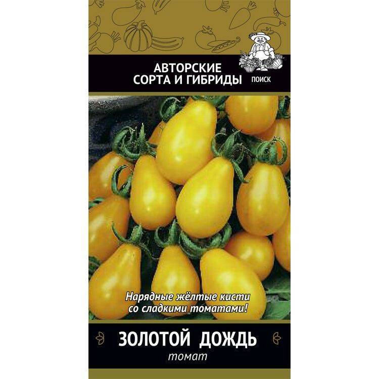 Томат золотой поток – настоящее украшение грядки
