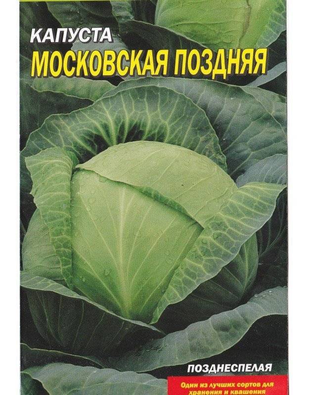 Капуста московская поздняя 15: характеристика, агротехнические особенности, рекомендации по уходу