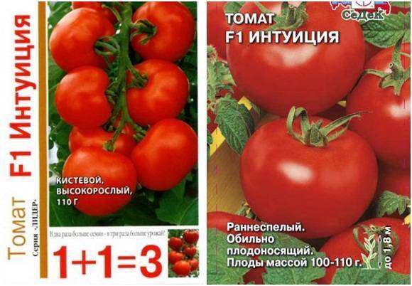 Сорт томата «интуиция f1»: подробное описание, характеристика, урожайность, фото, видео и отзывы тех, кто сажал