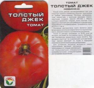 Нетребовательный в уходе, универсальный по применению и просто замечательный сорт томата «толстый джек»