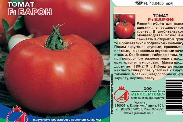 Сорт для настоящих ценителей — великолепный томат «черный барон»