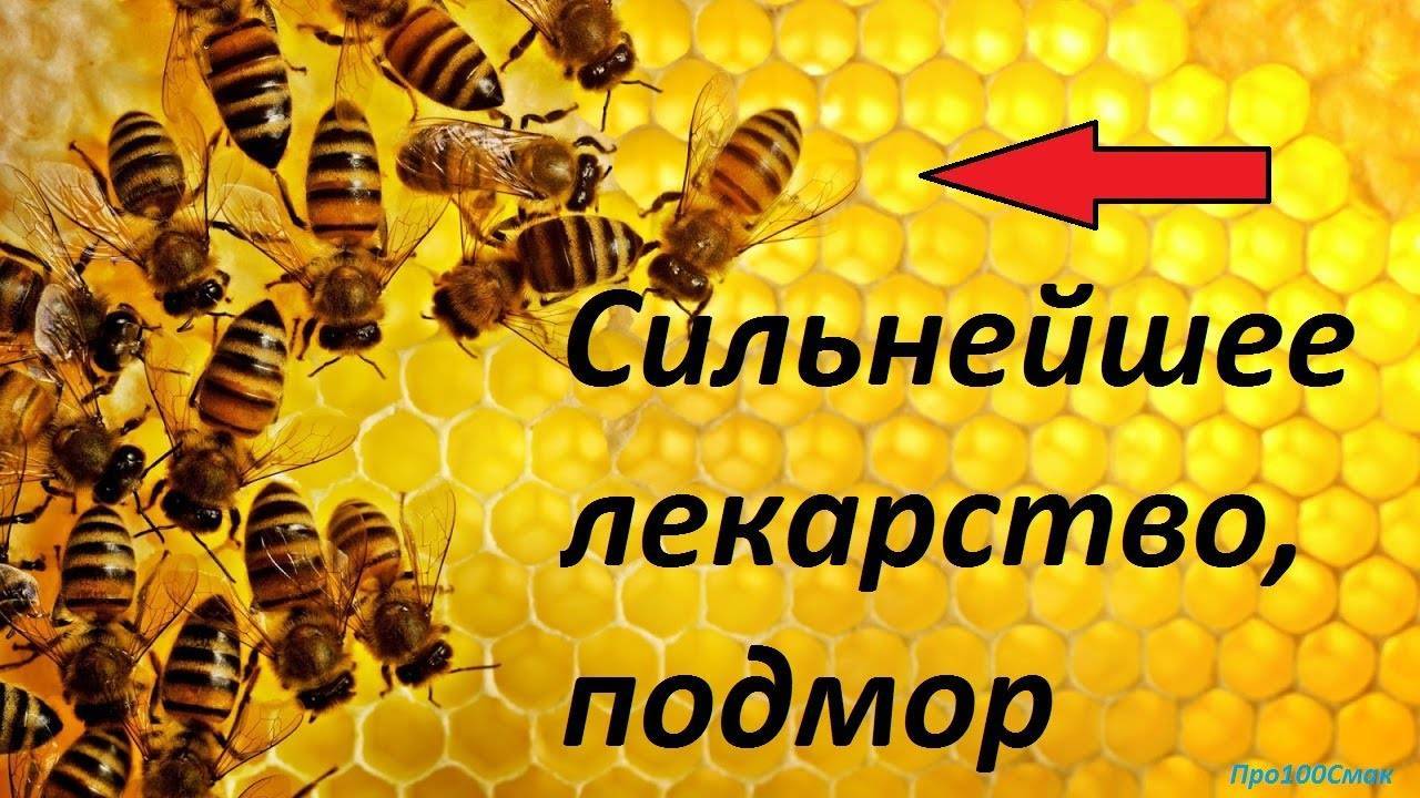 Подмор пчелиный рецепты для суставов