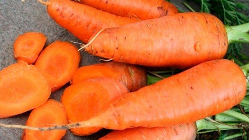 Топ-8 самых сладких сортов моркови