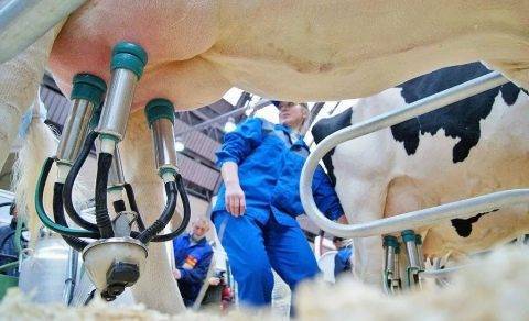 Как выбрать доильный аппарат для дойки коров