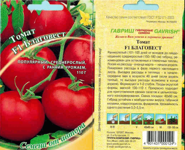 Гибрид томатов «благовест f1», характеристика и описание