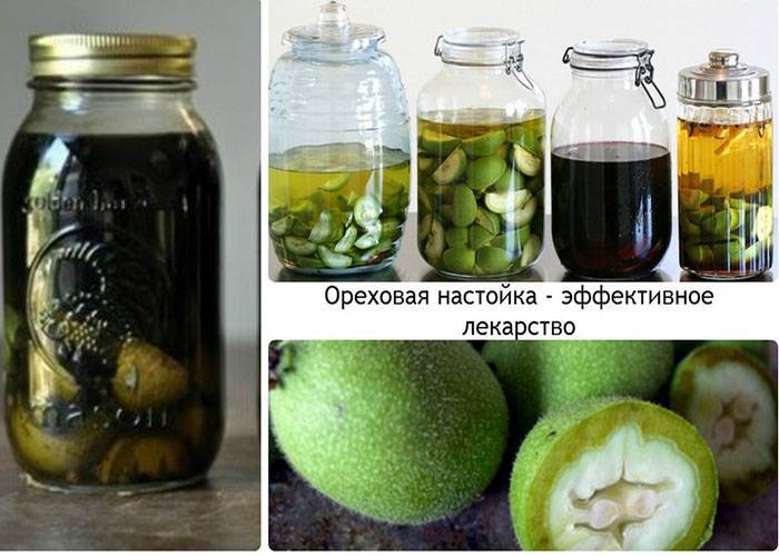 Грецкие орехи с медом: польза и вред