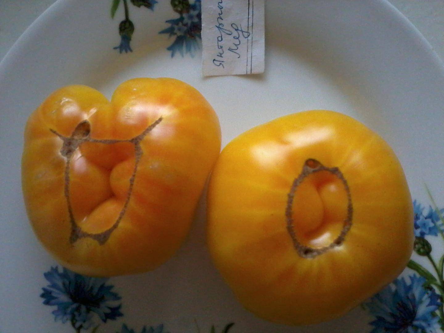 Сорт со сладкими плодами — томат янтарное сердце f1: отзывы об урожайности, описание помидоров