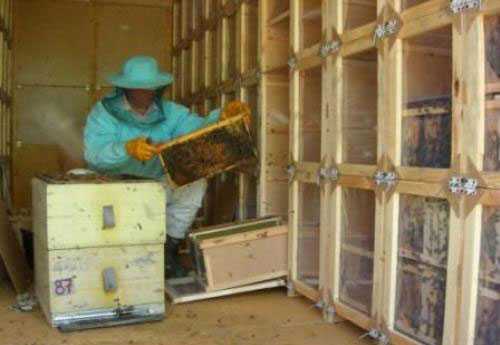 Строительство кассетного павильона для пчёл