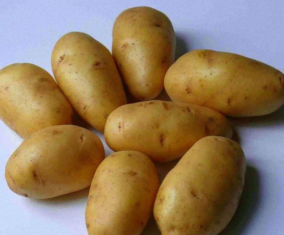 Как сохранить урожай картофеля