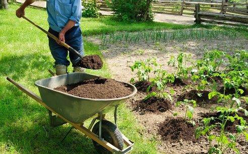 Конский перегной — использование как удобрения для огорода