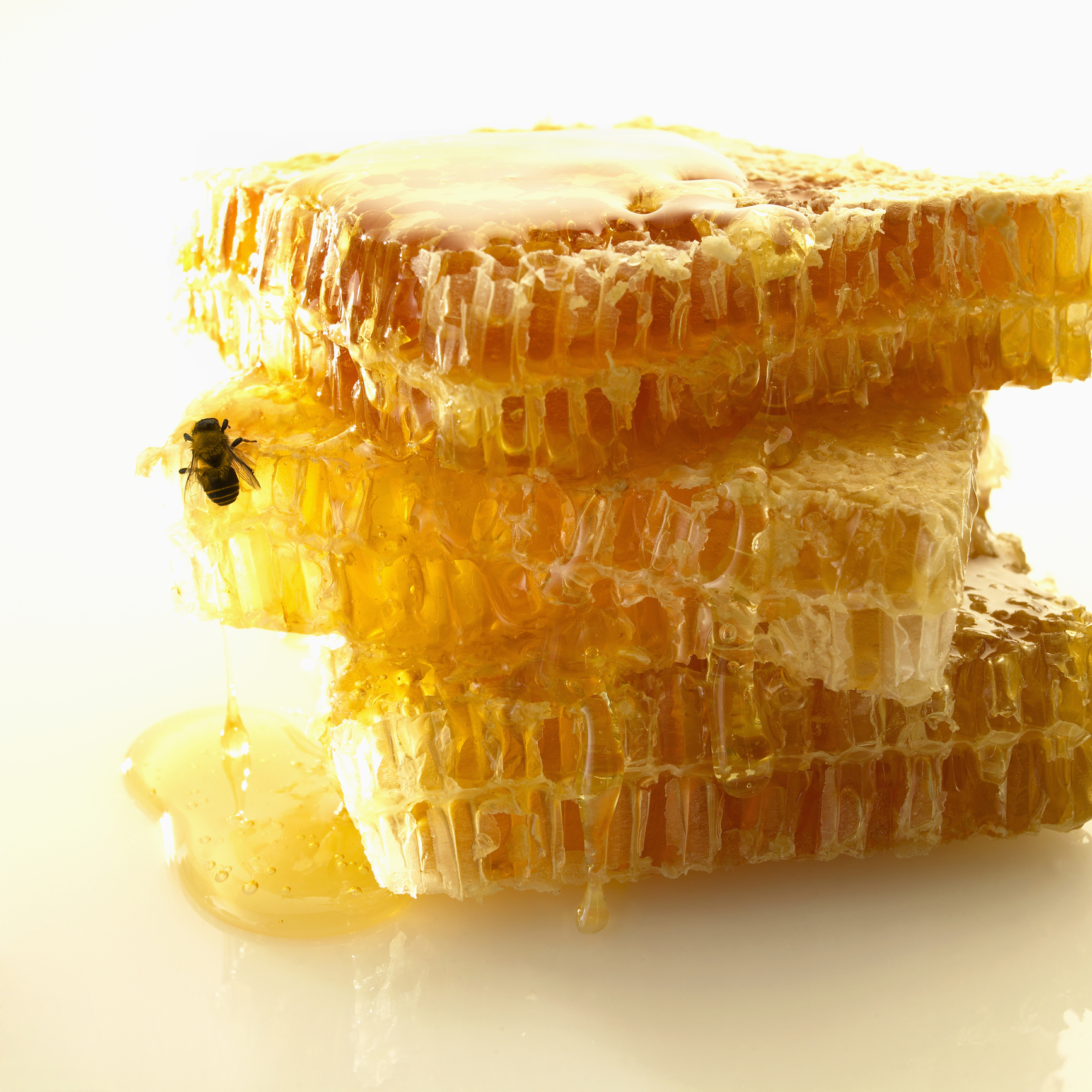 Все самое важное о том, как употреблять мед в сотах