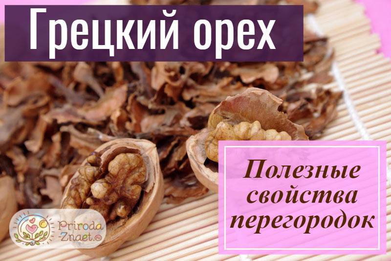 Перегородка грецкого ореха: польза и вред