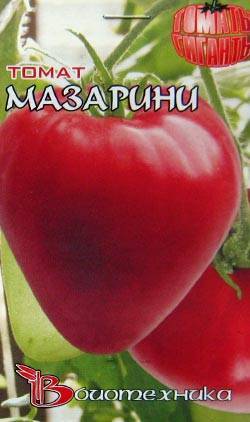 Помидоры «мазарини»: описание сорта, агротехника выращивания