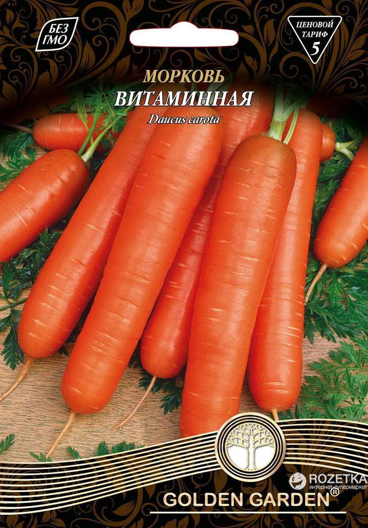 Морковь витаминная — описание сорта, фото, отзывы, посадка и уход
