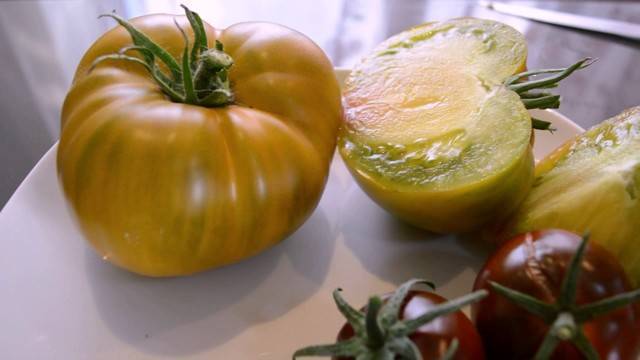Характеристика и описание сорта томата безразмерный