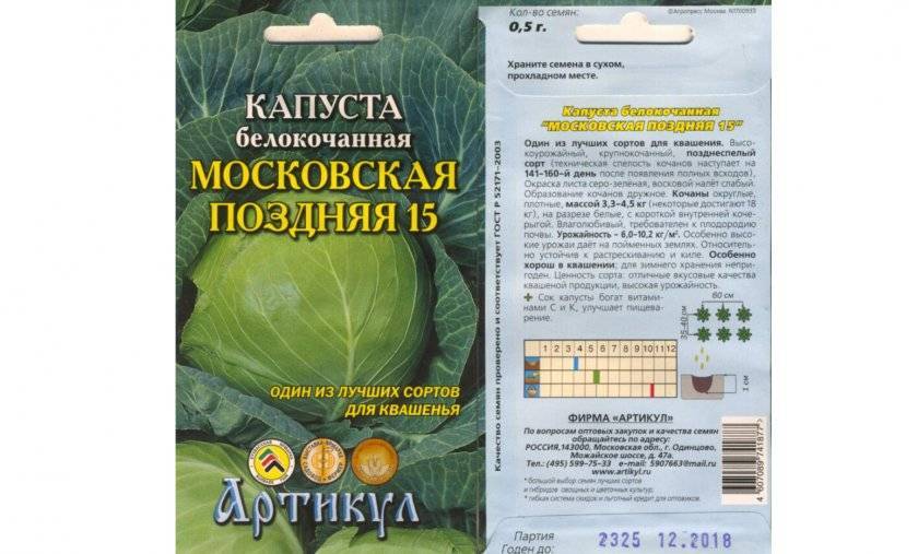 О капусте московская поздняя: описание и характеристика белокочанного сорта