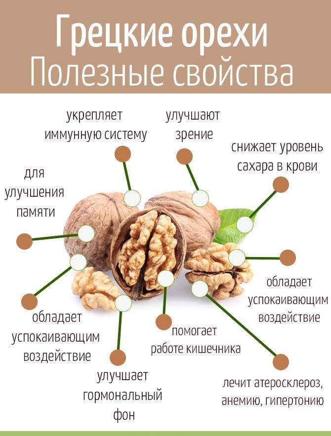 Польза и вред для организма от употребления грецкого ореха