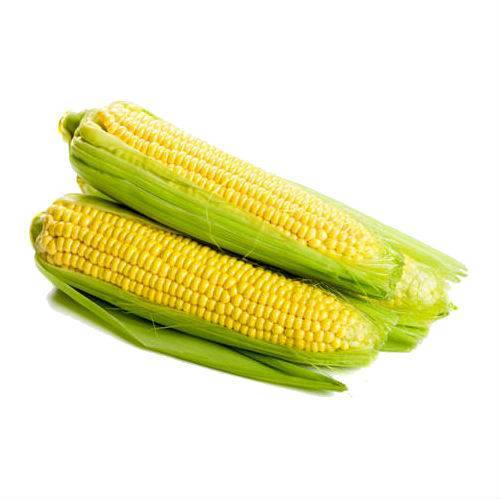 Полезна ли кукуруза