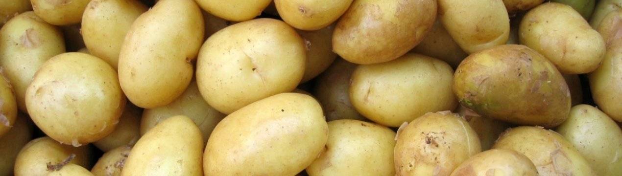 Картофель джелли – лакомство для всей семьи из германии