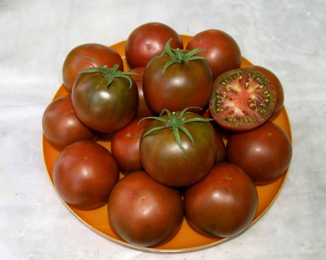 Томат "шоколадка f1": фото и описание сорта гибридного очень вкусного помидора