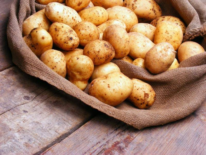 Топ-70 самых интересных и распространенных сортов картофеля