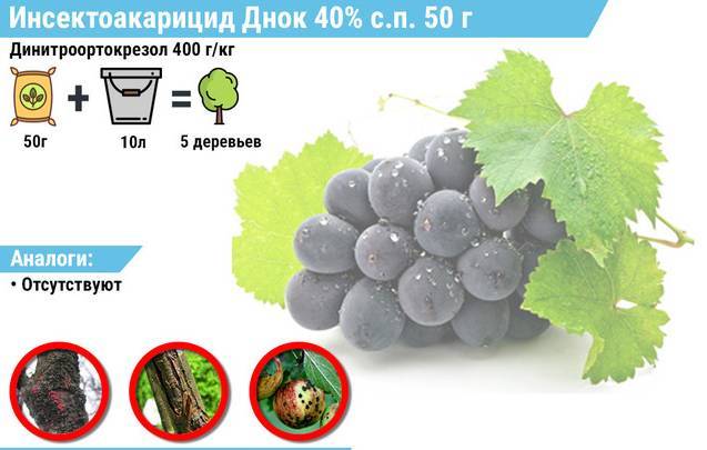 Фунгициды для винограда