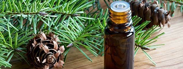 Пихтовое масло – лечебные свойства, применение, противопоказания