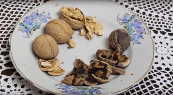 Как хранить грецкие орехи