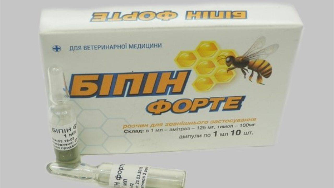 Бипин против клещей на пчелах: дозировка, применение