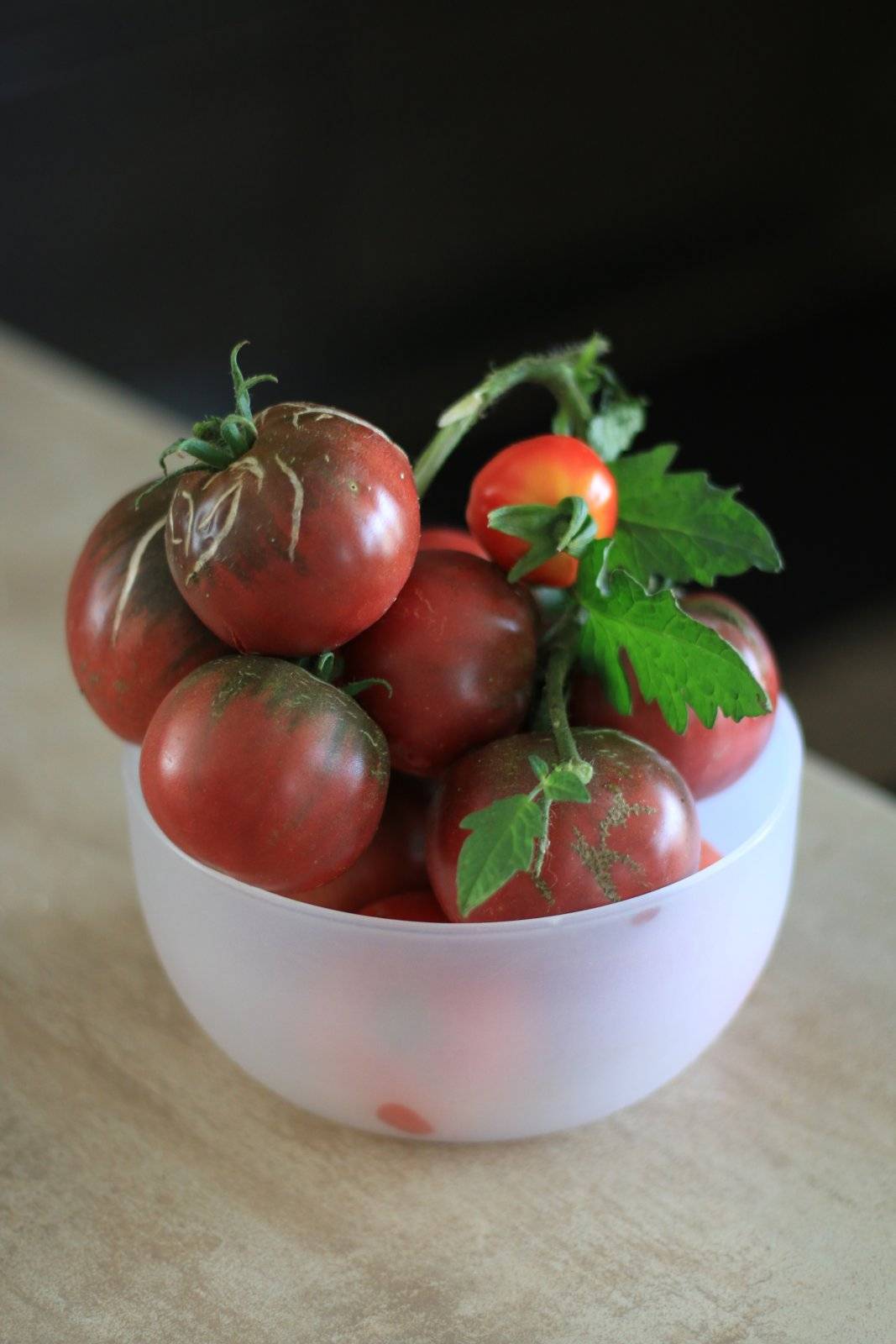 Успех на международном рынке помидоры – сорт томата «черный крым»: описание и основные характеристики