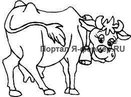 Послеродовой парез у коров: признаки, оказание помощи и профилактика