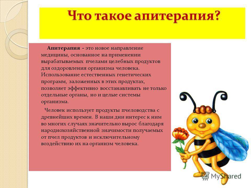 8 продуктов пчеловодства, используемых в медицине