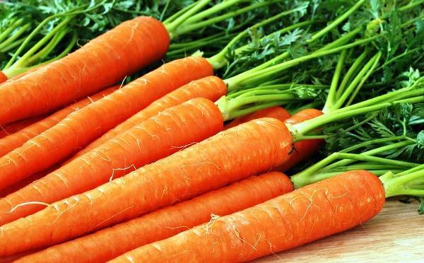 Сорта моркови для зимнего хранения
